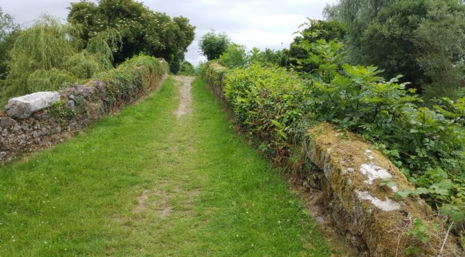 Day 4: Carlow to Bagenalstown (19km)