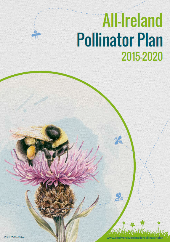 Pollinator Plan